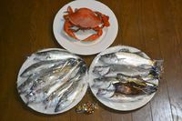 浜名湖釣果報告！ドウマン蟹＆セイゴ大量！！平成26年4月25日