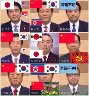 各政党代表の国籍