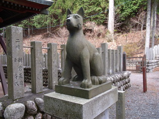 お犬様