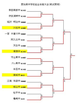 愛知県中学校総合体育大会　軟式野球