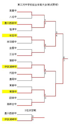 東三河中学校総合体育大会　軟式野球