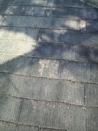 Ｃ棟に突入 2009/02/07 18:38:05