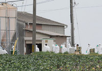 豊橋で鳥インフルエンザ 2009/02/28 17:52:53