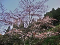 今年も開催します