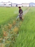 お仕事