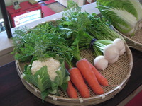 野菜