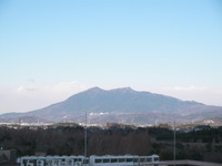 野菜