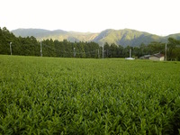 ならし 2010/08/28 20:00:00
