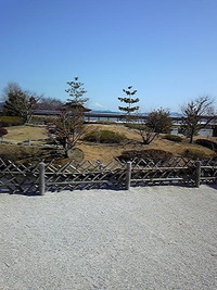 お茶の郷 2011/03/05 09:49:11