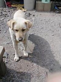 田舎暮らしもいいもんだ 2007/04/09 09:15:00