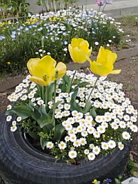 聾学校です 2008/04/19 22:56:17
