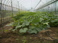 役者紹介PⅡ 2011/06/12 20:29:17