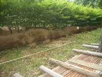 足元スッキリ 2011/06/16 20:51:04