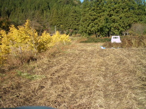 やっと終了