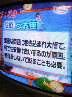 今日の占い☆