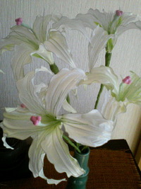 ☆カサブランカ☆ 2007/12/15 10:38:06