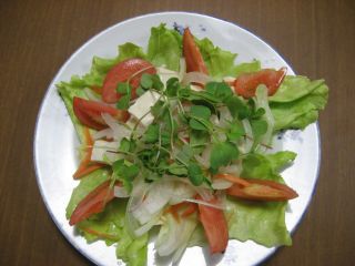 家庭菜園
