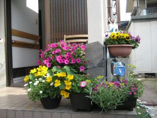 家庭菜園