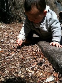 寸又峡 2010/03/14 22:46:22