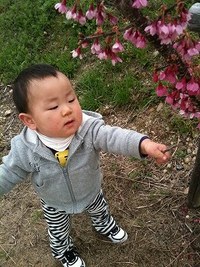 儚ぃ桜の教ぇ。 2010/03/15 22:29:58