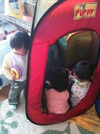 新しいお友達♪ 2010/04/13 15:27:48