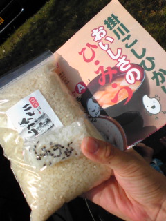 掛川ｺｼﾋｶﾘ