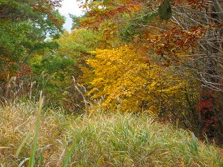 茅ヶ岳