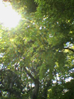 つわりですが・・・・
