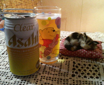 ♪祝杯♪