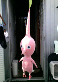 ピンピク？ 2009/04/16 23:54:44