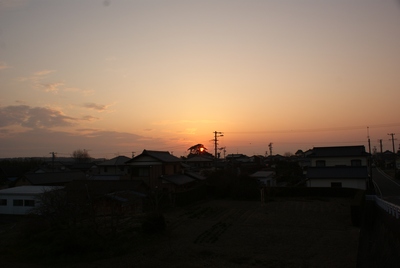 昨日の大松と夕陽。