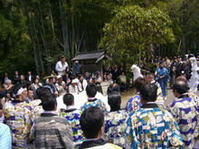 書は置き、里帰り編－幣押し
