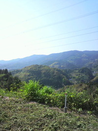 次は…物干し台& 竿作り♪ 2010/05/18 09:08:03
