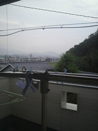 朝5時半にパチリ…。 2010/06/25 12:01:38