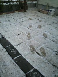 ★雪★ 2011/01/16 07:24:12