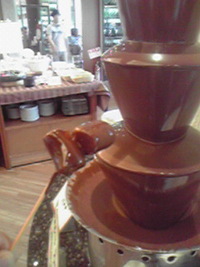 チョコレートフォンデュ？ 2010/09/04 22:46:33