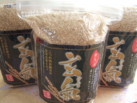玄氣