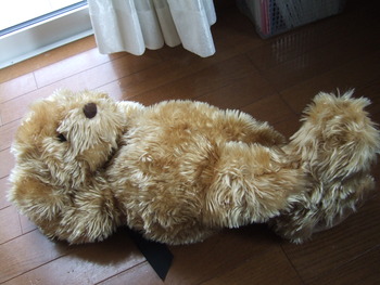 今日はお休み