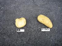 三方原ﾎﾟﾃﾄﾁｯﾌﾟ（原材料）