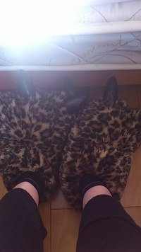 ご愛用 2012/02/09 09:09:53