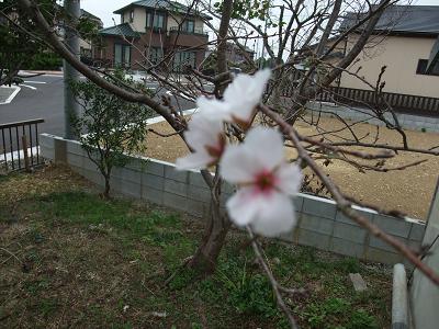 間違えちゃったね