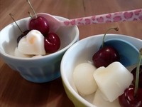 シャーベット 2012/05/24 10:19:59