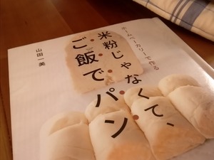 ご飯でパン