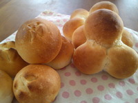 元気になぁれ♪ 2012/02/09 16:41:22