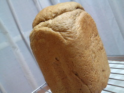 モカパン