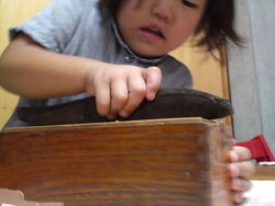 かつおぶし