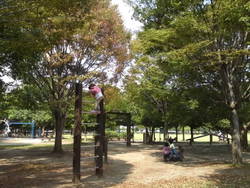 美薗中央公園