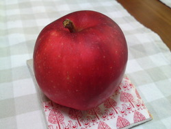 茜りんご