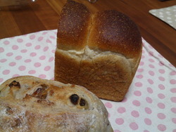ロミパン◎