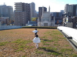 屋上公園